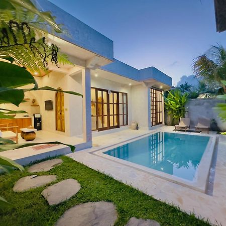 Nick Villa Ubud Exteriér fotografie